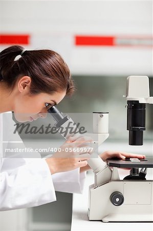 Portrait of a female scientist looking in a microscope in a laboratory