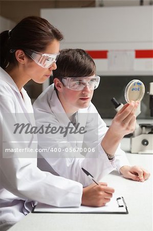 Portrait of focused students in science looking at a Petri dish in a laboratory