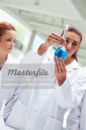 Portrait of scientists looking a flask in a laboratory