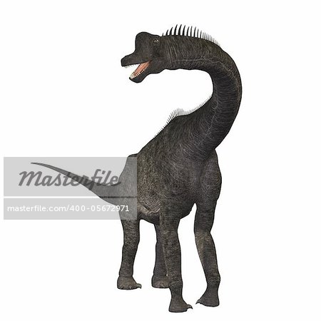 The Brachiosaurus dinosaur was a sauropod from the Jurassic Period. Its forelimbs were much longer then its hind limbs giving it the look of the modern giraffe. This herbivore browsed the treetops in North America.