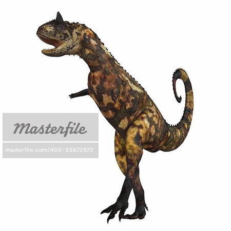 The Carnotaurus dinosaur was a large carnivore in the Cretaceous Period of Earths history. Its fossils have been found in South America. Its name means meat eating bull for the two horns on its head.