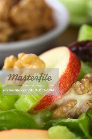 Fresh delicious home-made Waldorf Salad consisting of lettuce, apple, celery, walnuts, raisins and mayonnaise with ingredients in the back (Very Shallow Depth of Field, Focus on the front of the apple and celery slice)
