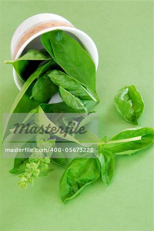 fresh basil leaves scattered from a bowl over green background