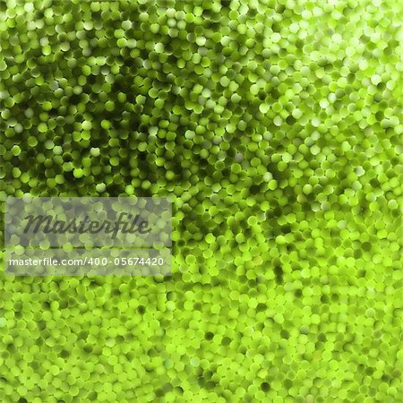 Amazing template design on green glittering background. EPS 8 vector file included