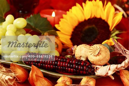 Still life and harvest or table decoration for Thanksgiving