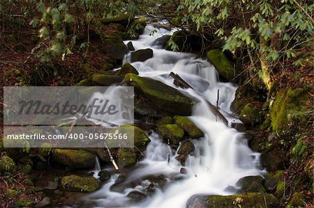 Great Smokey Mountains National Park, Tennessee