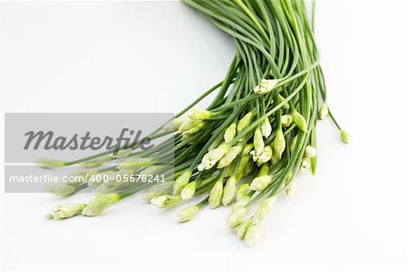Chives flower on white background
