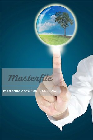 Business male hand touch the crystal ball with tree inside