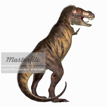 Tyrannosaurus Rex was one of the largest carnivores of the Cretaceous Period of Earths history. Its fossils have been found in western North America. Its name means Tyrant Lizard King.