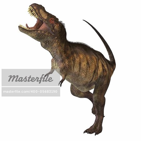 Tyrannosaurus Rex was one of the largest carnivores of the Cretaceous Period of Earths history. Its fossils have been found in western North America. Its name means Tyrant Lizard King.