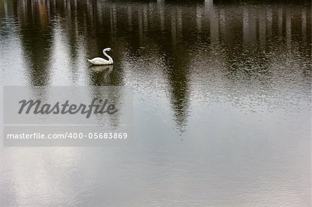 detail of a fake swan on a pond