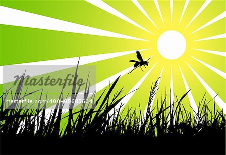 vector wasp flying over grass, Adobe Illustrator 8 format