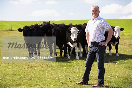 Farm Worker With Herd Of Cows