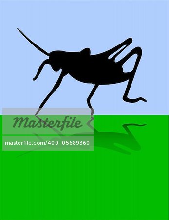 Grasshopper - vector