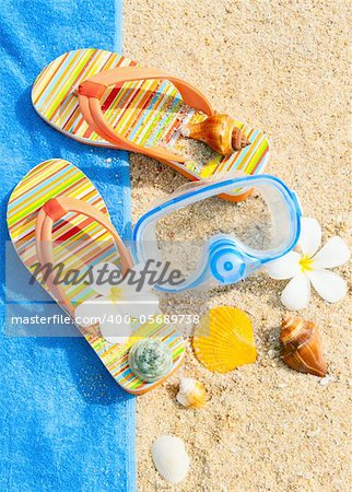 Seashells and diving mask on the beach