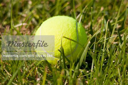 Tennis ball on a grass field