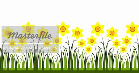 seamless vector daffodils border, Adobe Illustrator 8 format