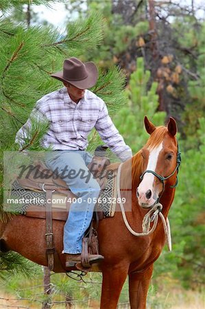 Cowboy working his horse in the field