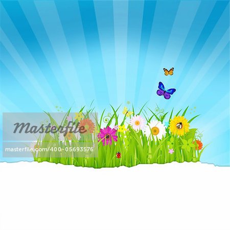 Green Grass With Flowers And Paper, Vector Illustration