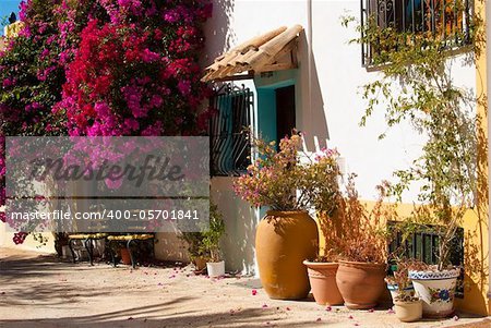 Mediterranean village street with flowering bougainvillea bushes