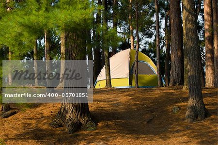 Tent Camping  in the Woods at a Wilderness Campsite