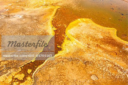 Bright orange colors of thermophilic bacteria in the Upper Geyser Basin of Yellowstone National Park.