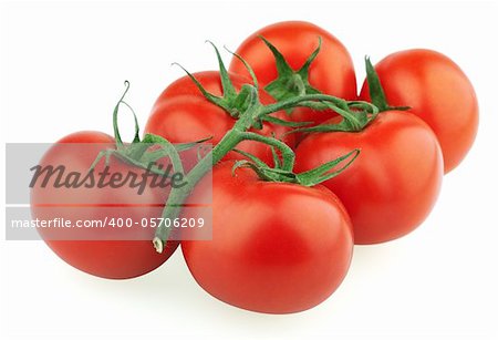 Closeup of tomatoes on the vine isolated on white