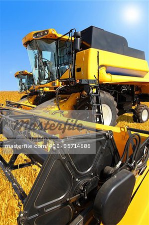 combine harvester on a wheat field with a blue sky