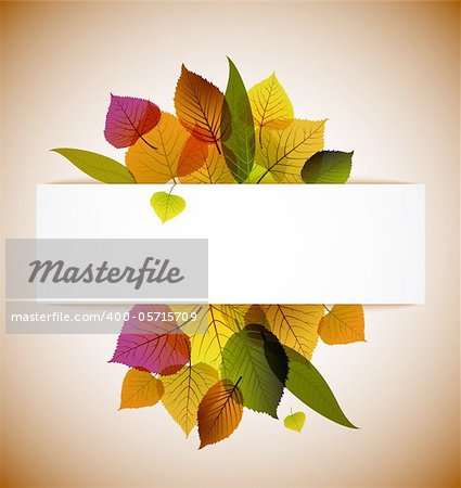 Fall leafs abstract background with place for your text