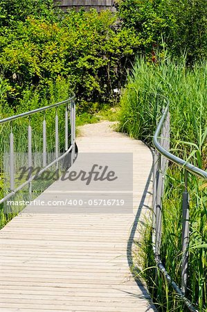 A wooden walking on a small pond leading to the wood