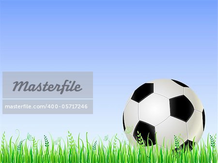 Soccer ball on green grass. Vector Football Illustration