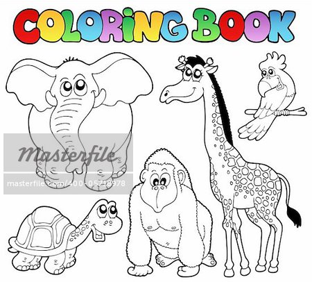 Coloring book tropical animals 2 - vector illustration.