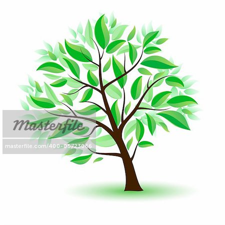 Stylized tree with green leaves. Illustration on white background