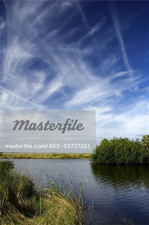 Scenic Landscape in Big Cypress National Preserve, Florida Everglades