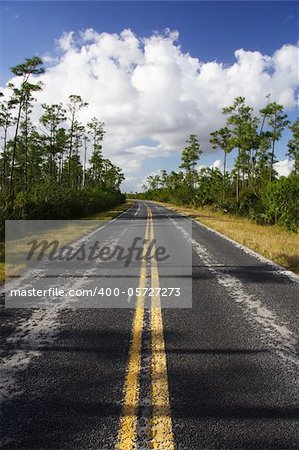 Main road through scenic Everglades National Park, Florida