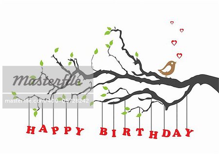 Happy birthday greeting card with bird vector illustration