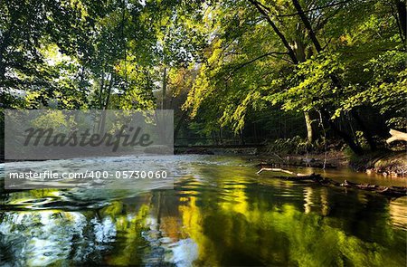 Autumn in a forest with a river and a bridge over the river