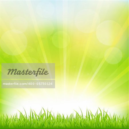 Green Background With Green Grass And Sunburst, Vector Illustration