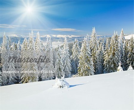winter calm mountain landscape with rime and snow covered spruce trees  (view from Bukovel ski resort (Ukraine) to Svydovets ridge)