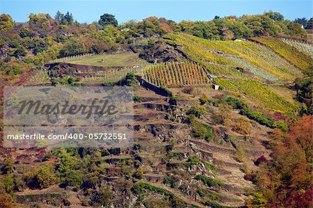 autumn on the borders of the rhine