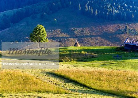 Summer mountain landscape with haystack and lonely tree