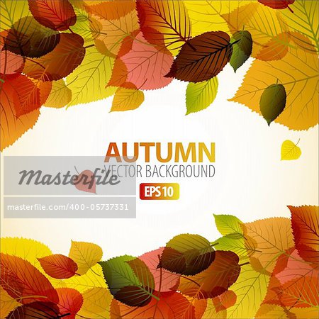 Vector Autumn abstract background with colorful leafs and place for your text