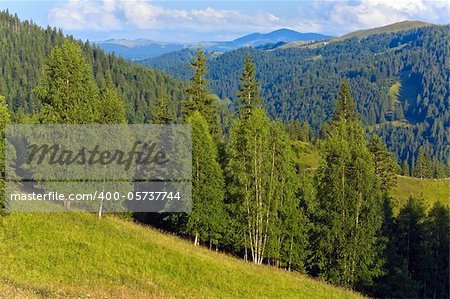 Summer mountain landscape with flowering grassland in front