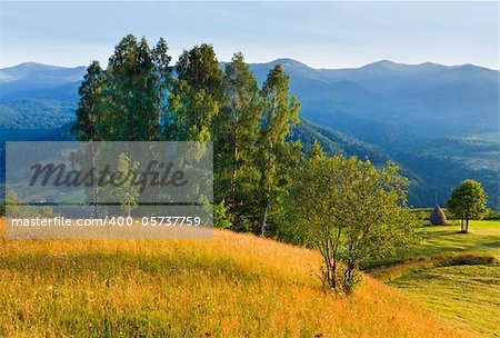 Evening summer mountain landscape with flowering grassfield