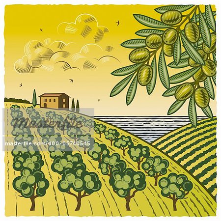 Retro landscape with olive grove in woodcut style. Vector illustration with clipping mask.