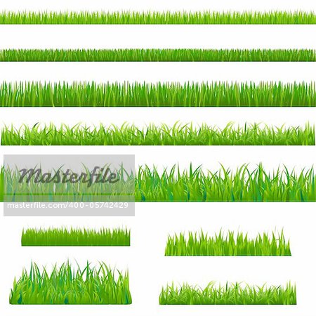 Big Green Grass, Isolated On White Background, Vector Illustration