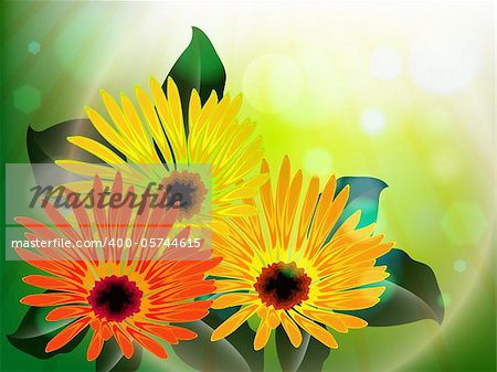 flowers and light abstract, vector art illustration; image contains gradient mesh and transparency