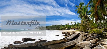 Tropical paradise on Sri Lanka with palms hanging over the mighty stones and a beach which is washed by a sea surf