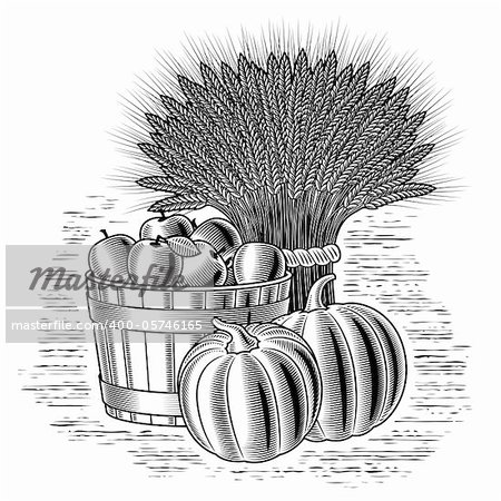 Retro harvest still life in woodcut style. Black and white vector illustration with clipping mask.