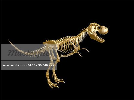 golden  tyrannosaurus Dinosaur skeleton isolated on dark background
